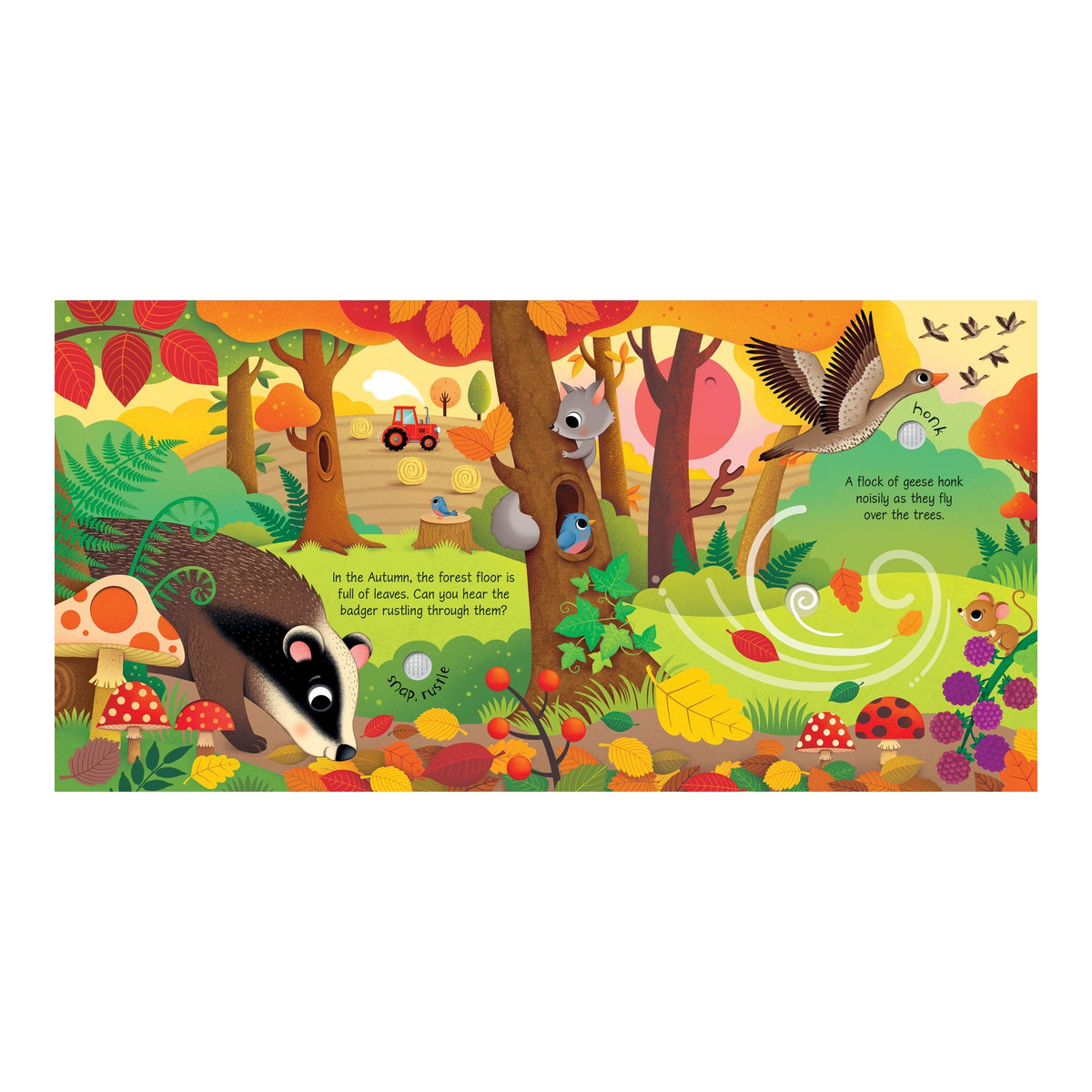 Musical Book Seasons Sounds