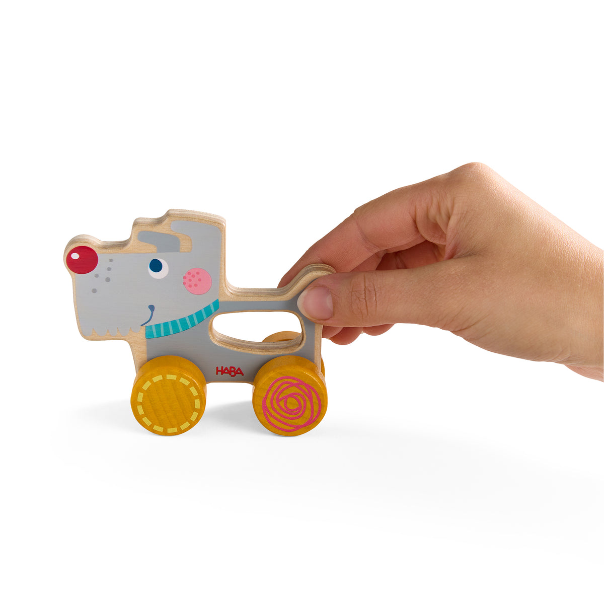 Cão com Rodas