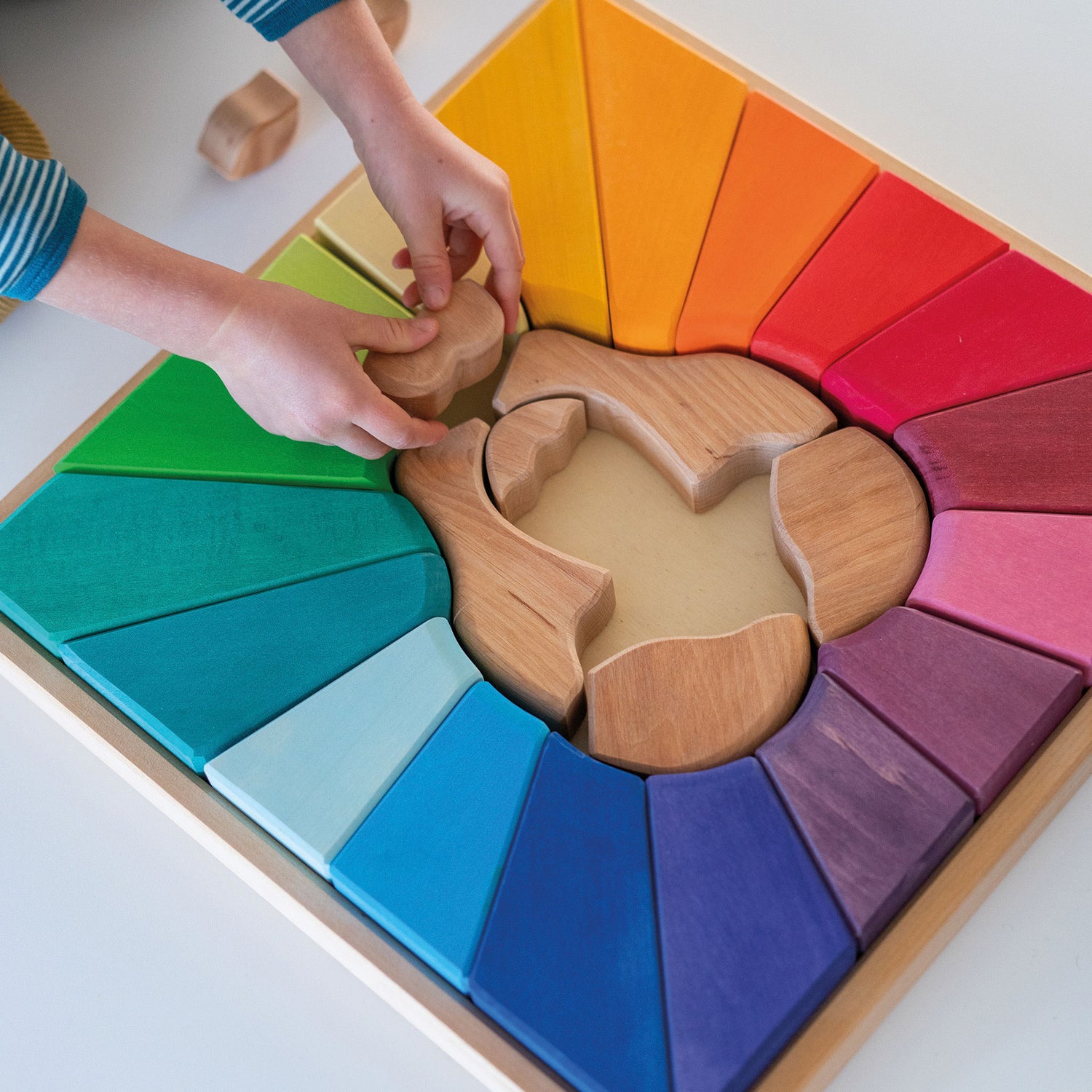 Puzzle Leão