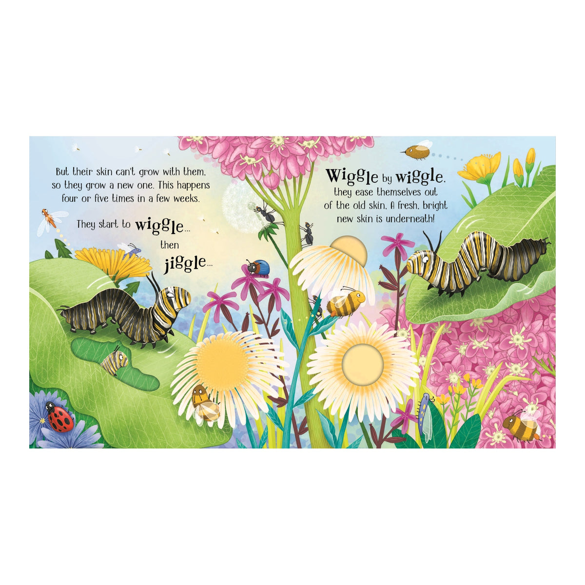 One Little Butterfly Life Cycle