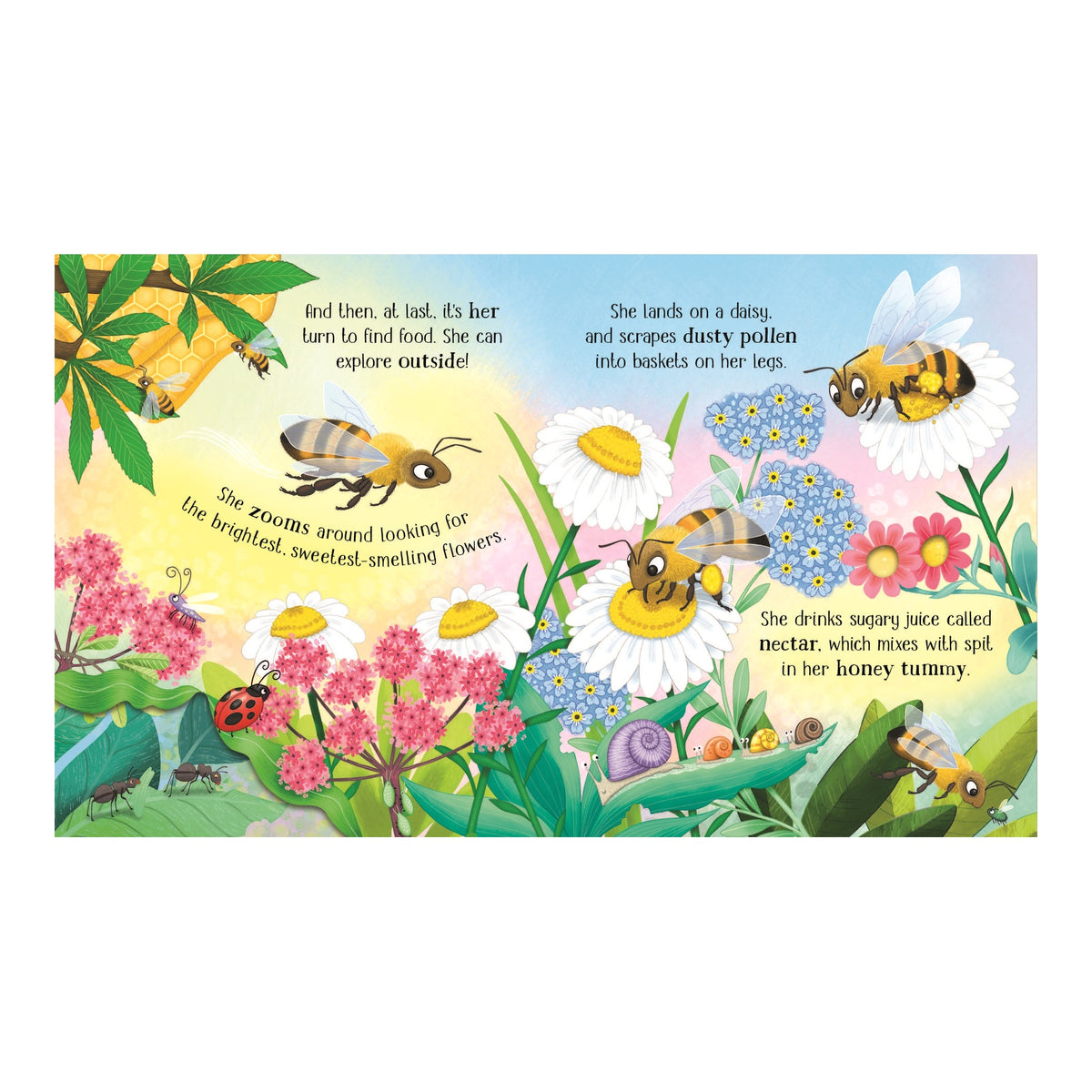 One Little Bee Life Cycle