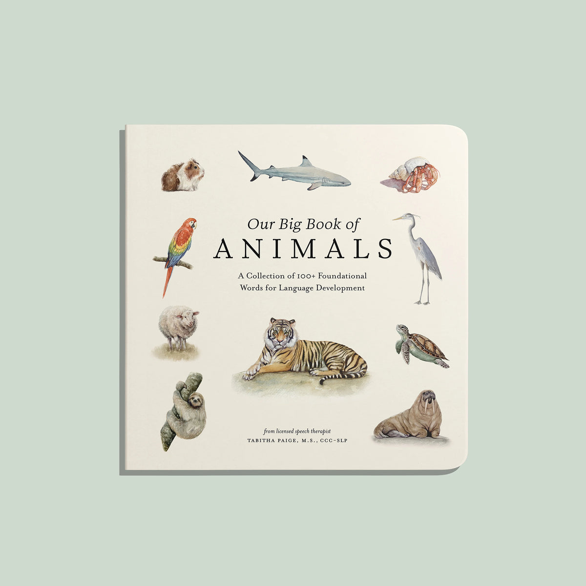 Our Big Book of Animals