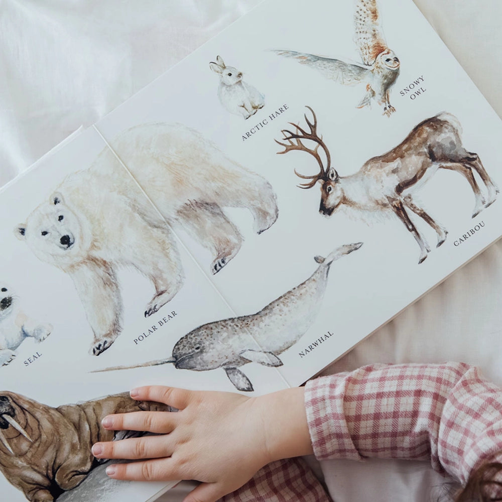 Our Big Book of Animals