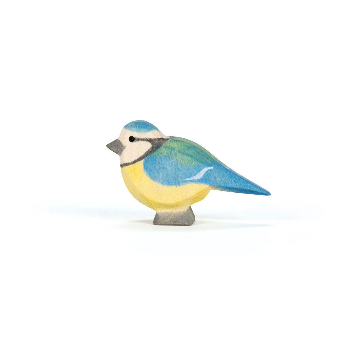 Pássaro Chapim Azul