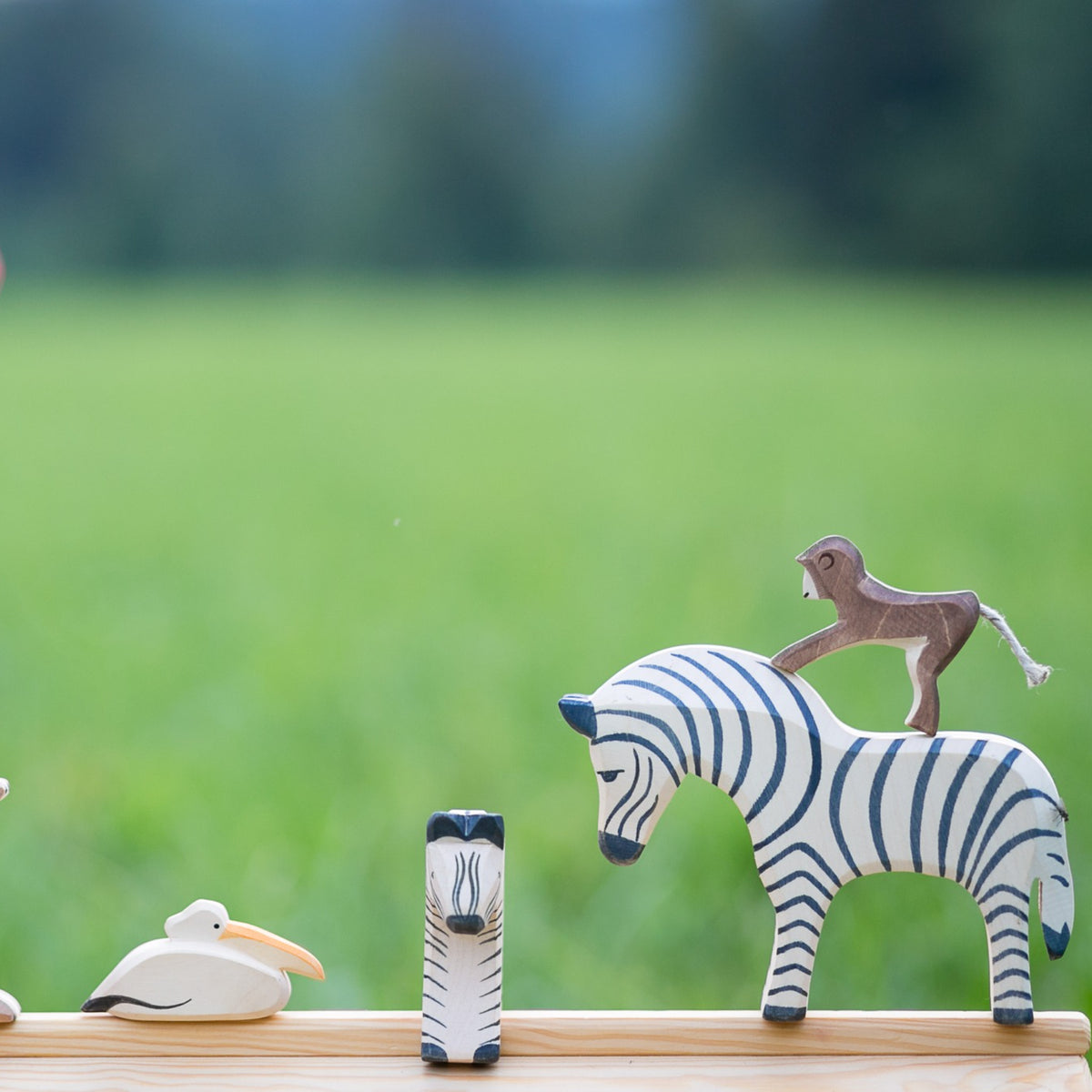 Zebra