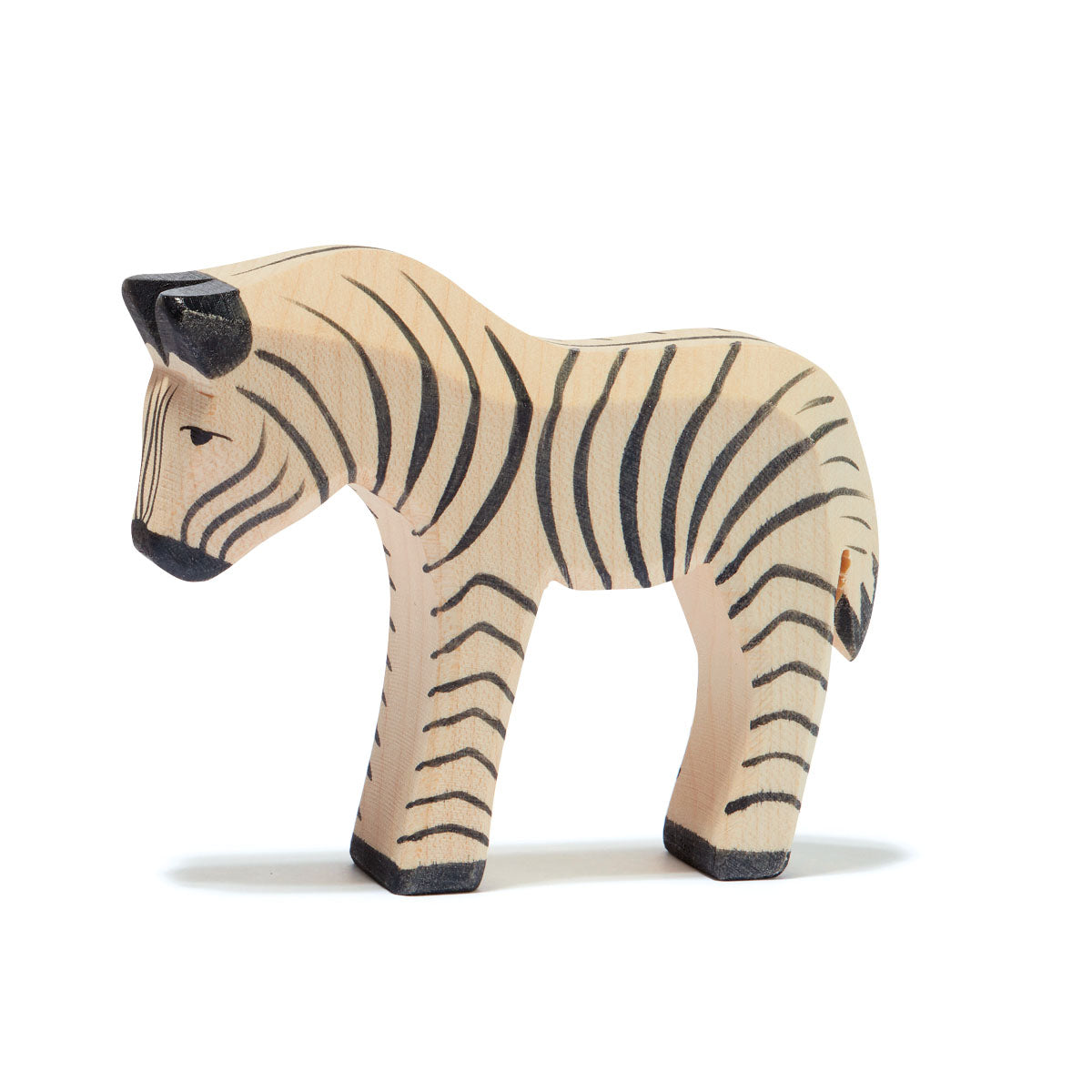 Little Zebra