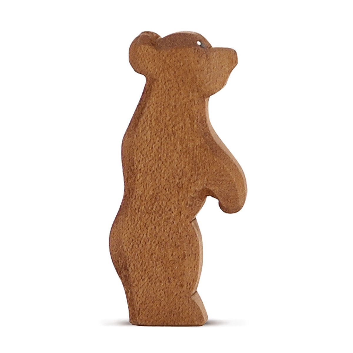 Baby Bear standing