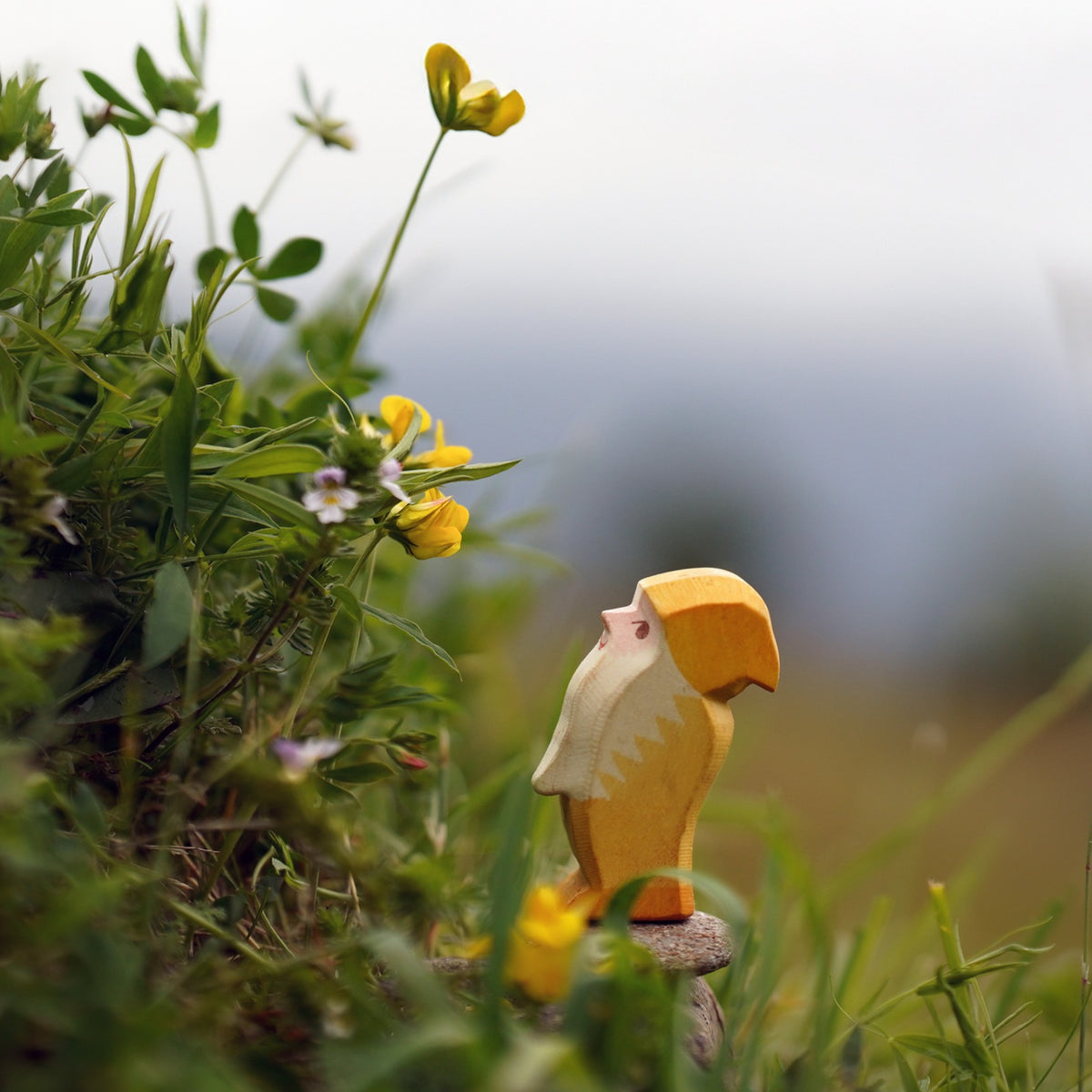 Anão Amarelo