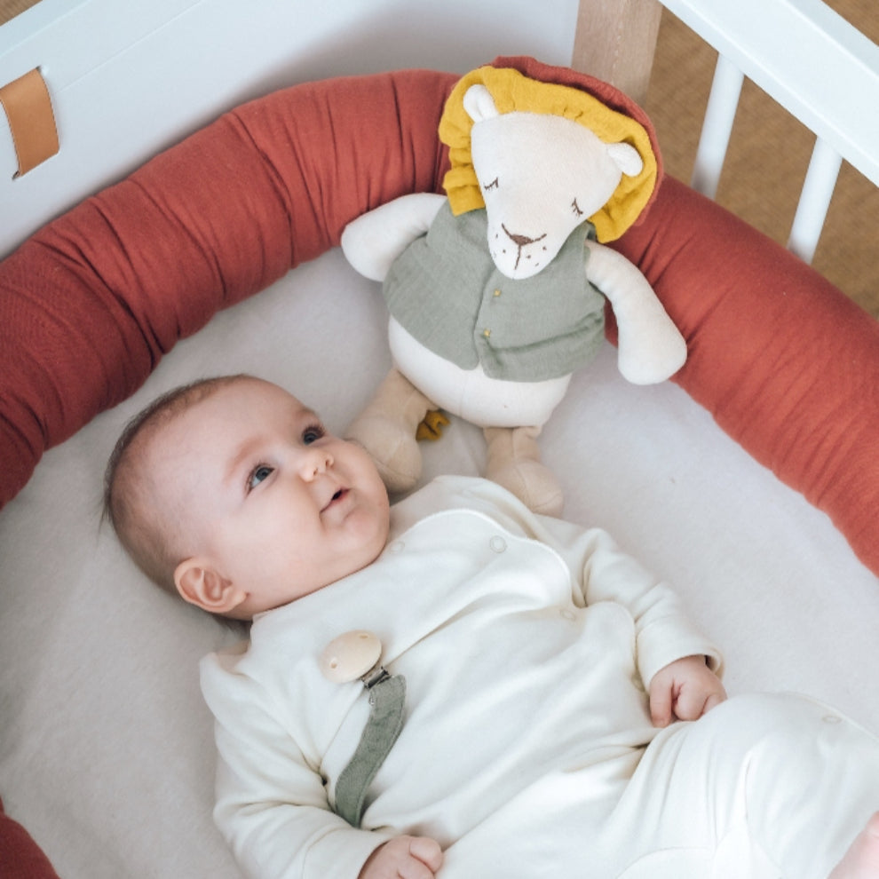 Peluche Leão Bio