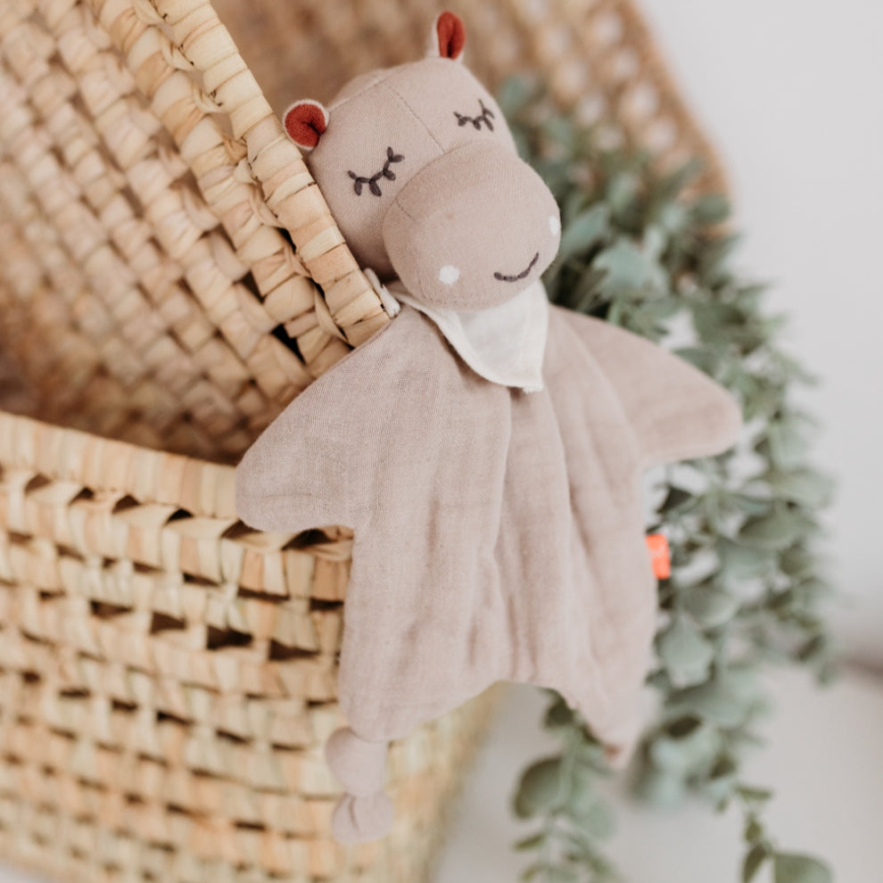Doudou Bio Rabbit