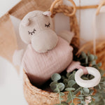 Hippo Bio de Actividades