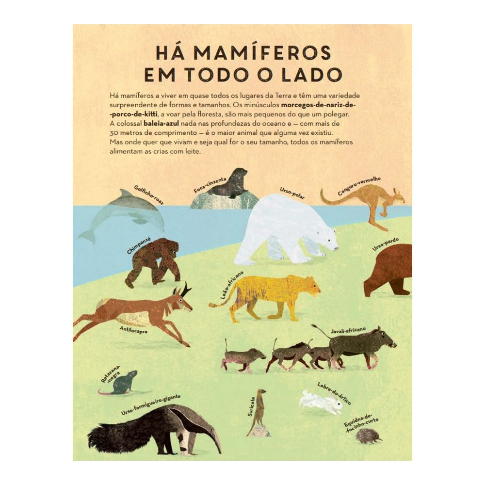 So Many Mammals Everywhere