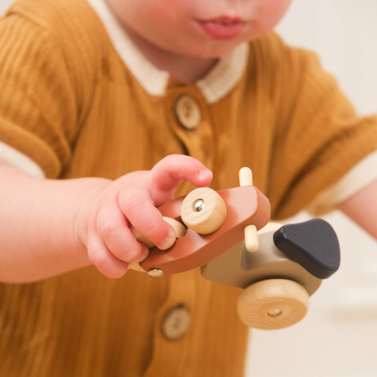 Urso Alexis com Vespa
