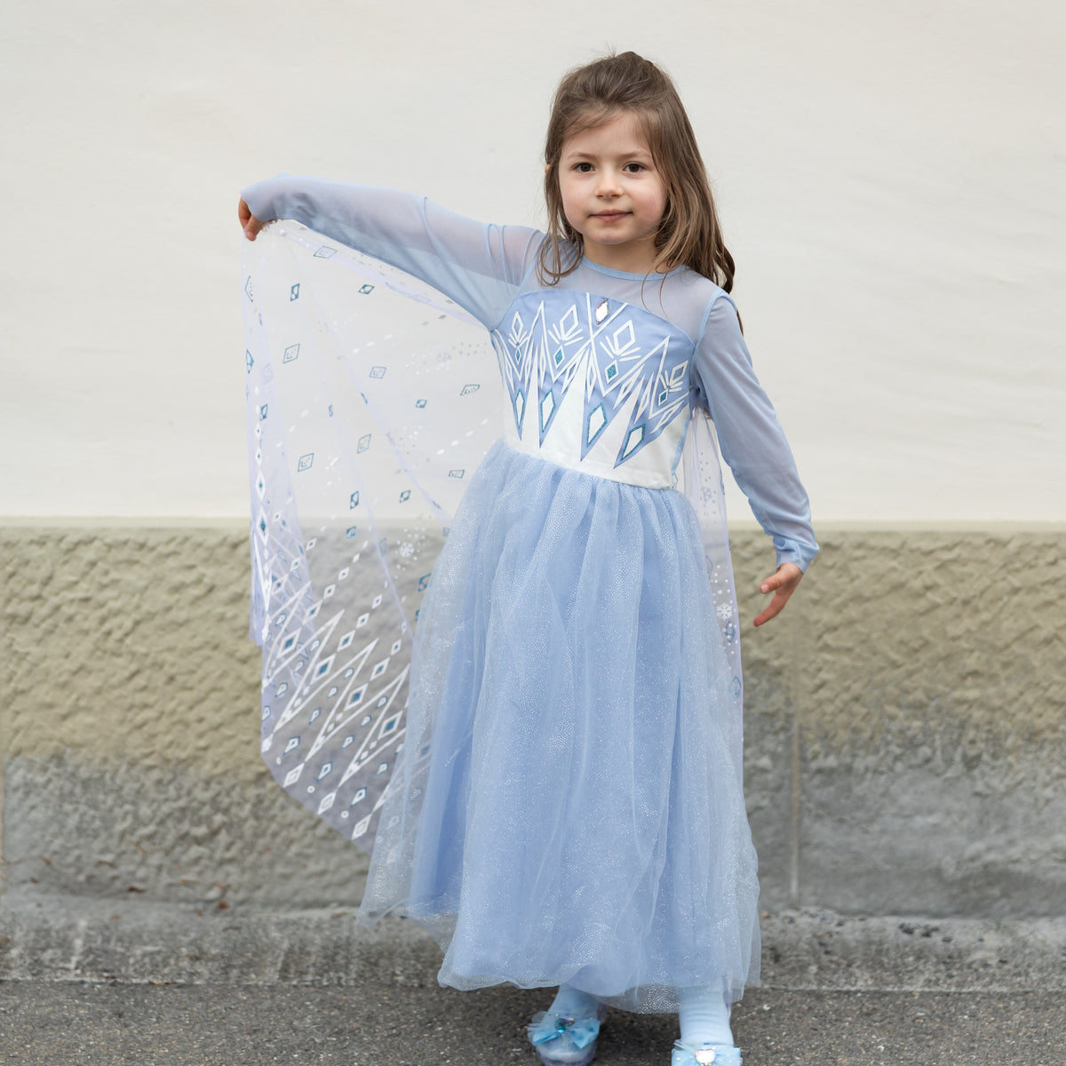 Disfarce Elegant Princesa do Gelo