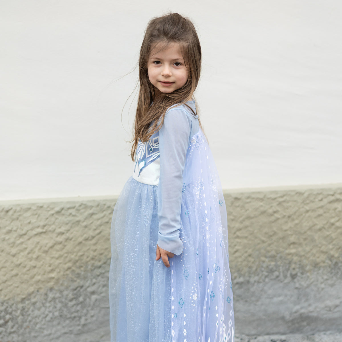 Disfarce Elegant Princesa do Gelo
