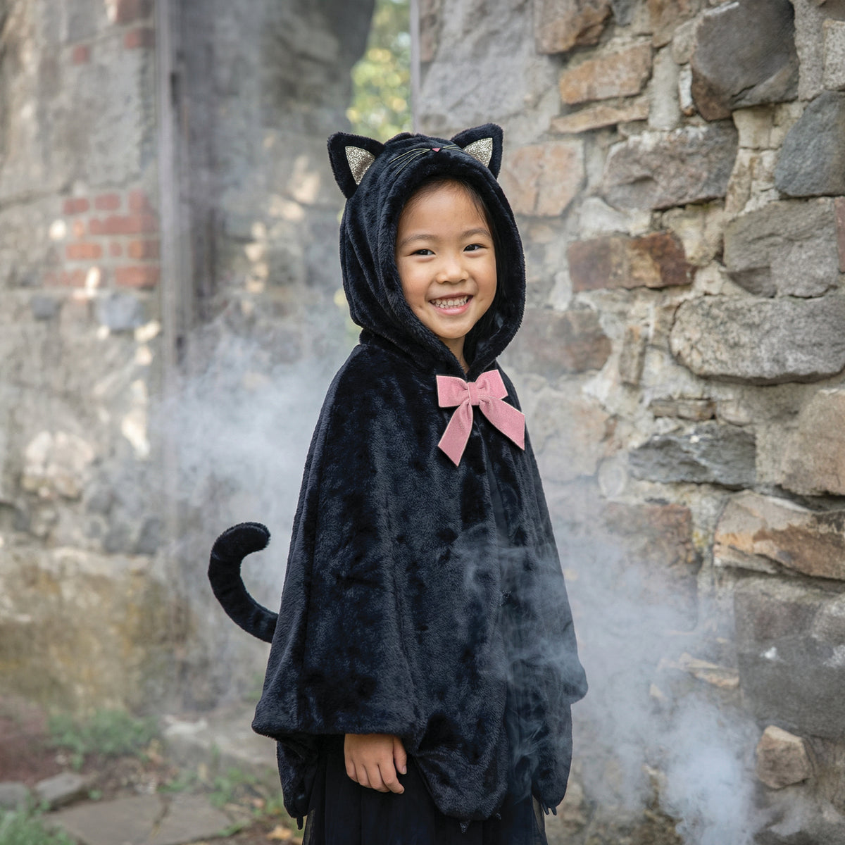 Capa Gato Preto