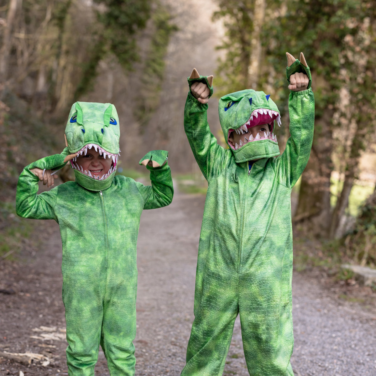Disfarce Dinossauro T-Rex