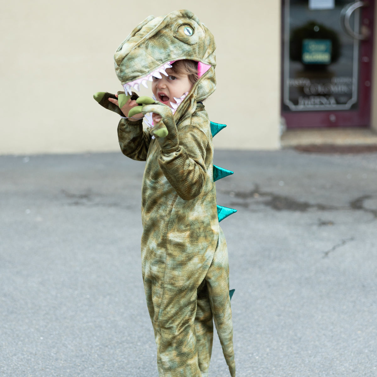 Disfarce Dinossauro Raptor