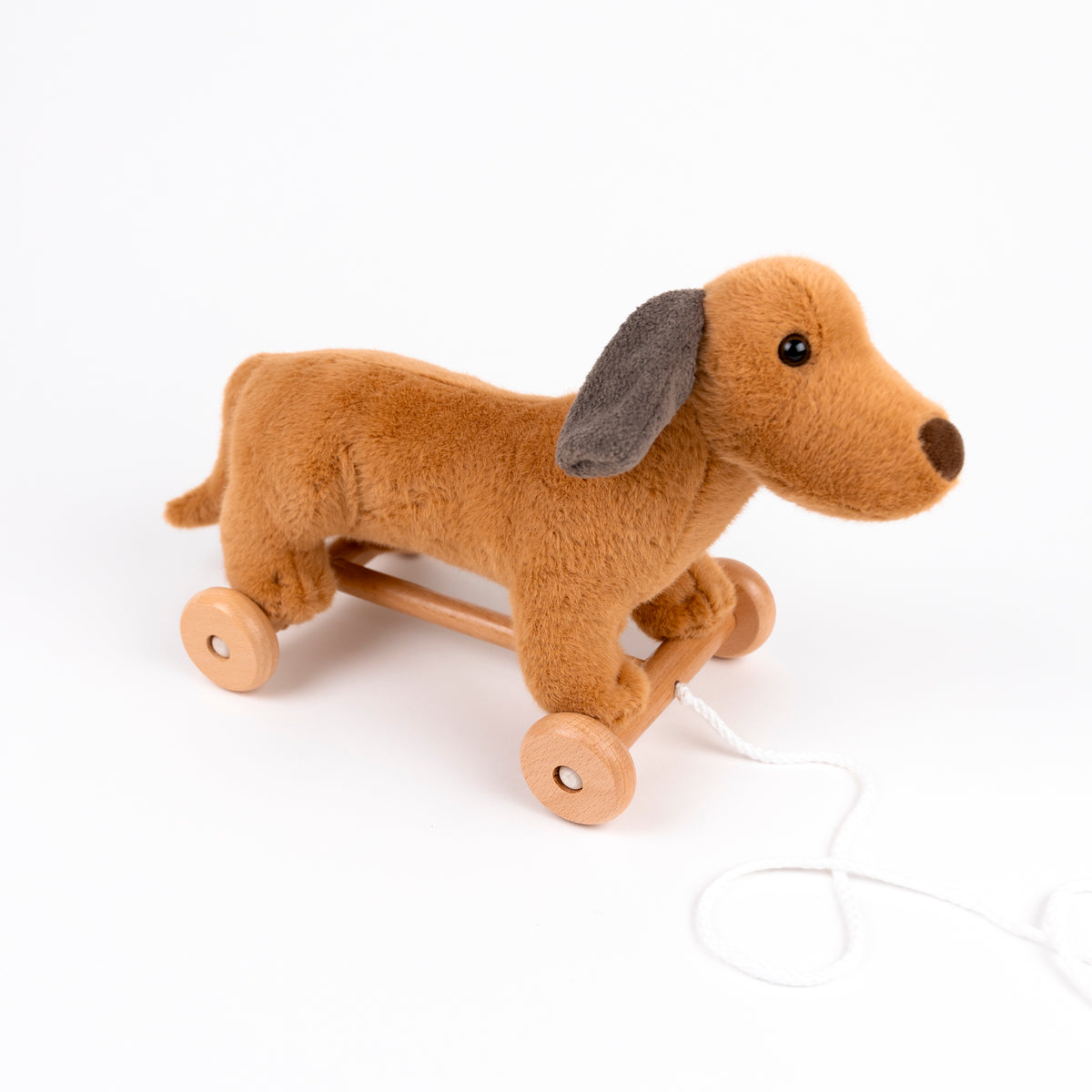 Cão de Puxar Eduardo