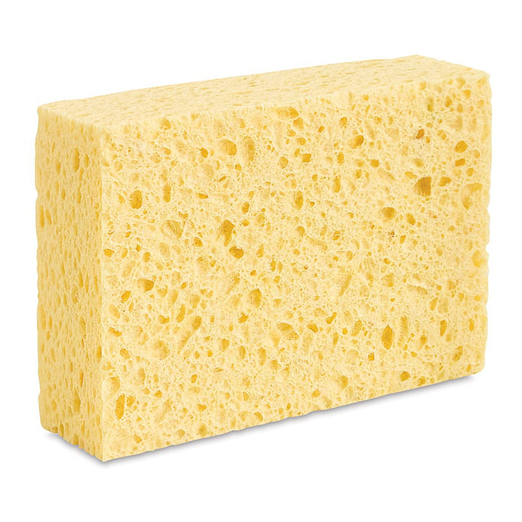 Watercolor sponge