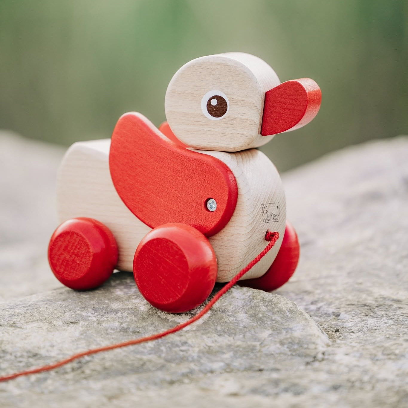 Pull-along duck