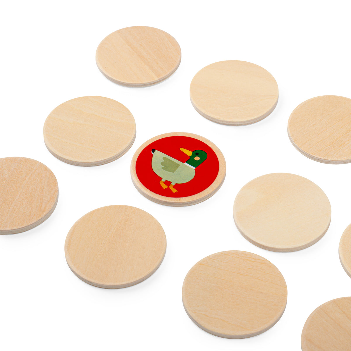Garden Memory Game