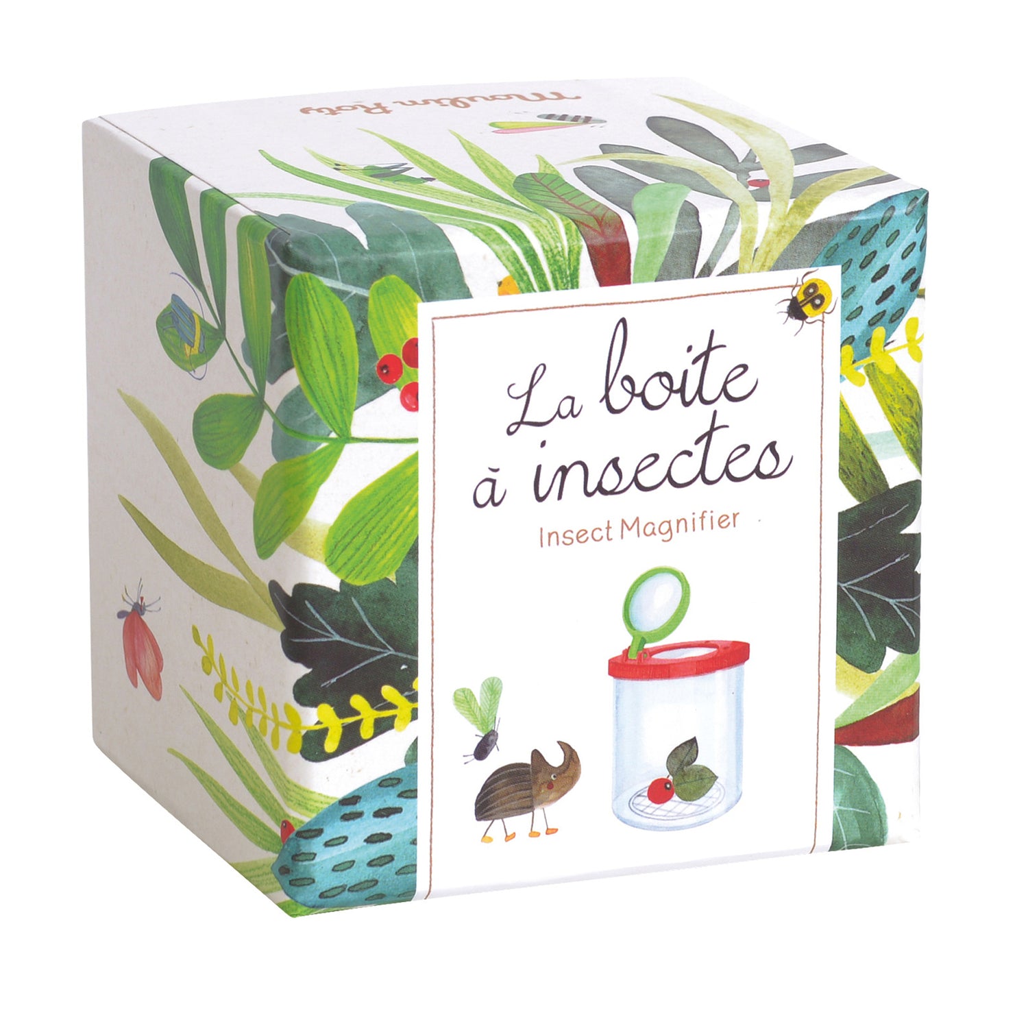 Caixa Lupa para Insectos