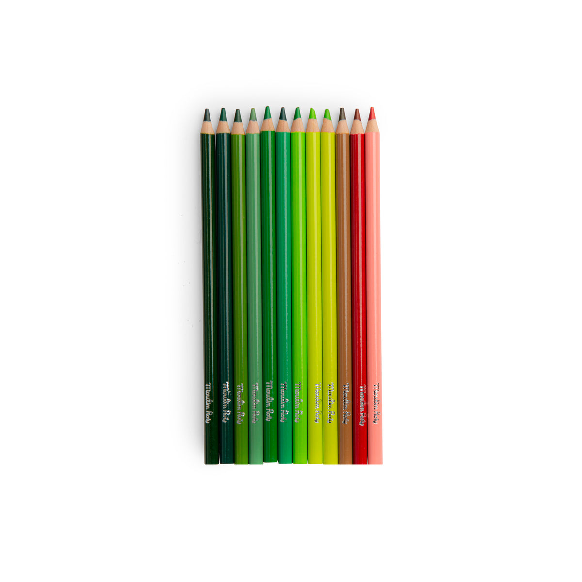 Botaniste Cards with 12 Coloured Pencils