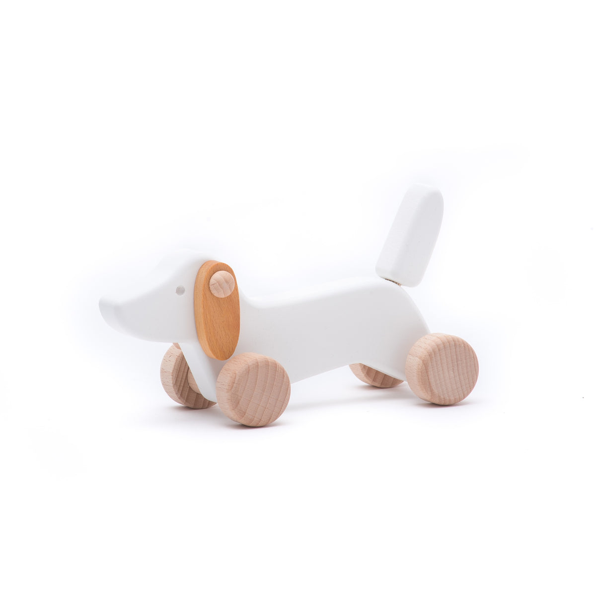 Cão Branco com Rodas