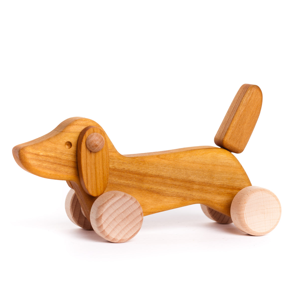 Cão Natural com Rodas