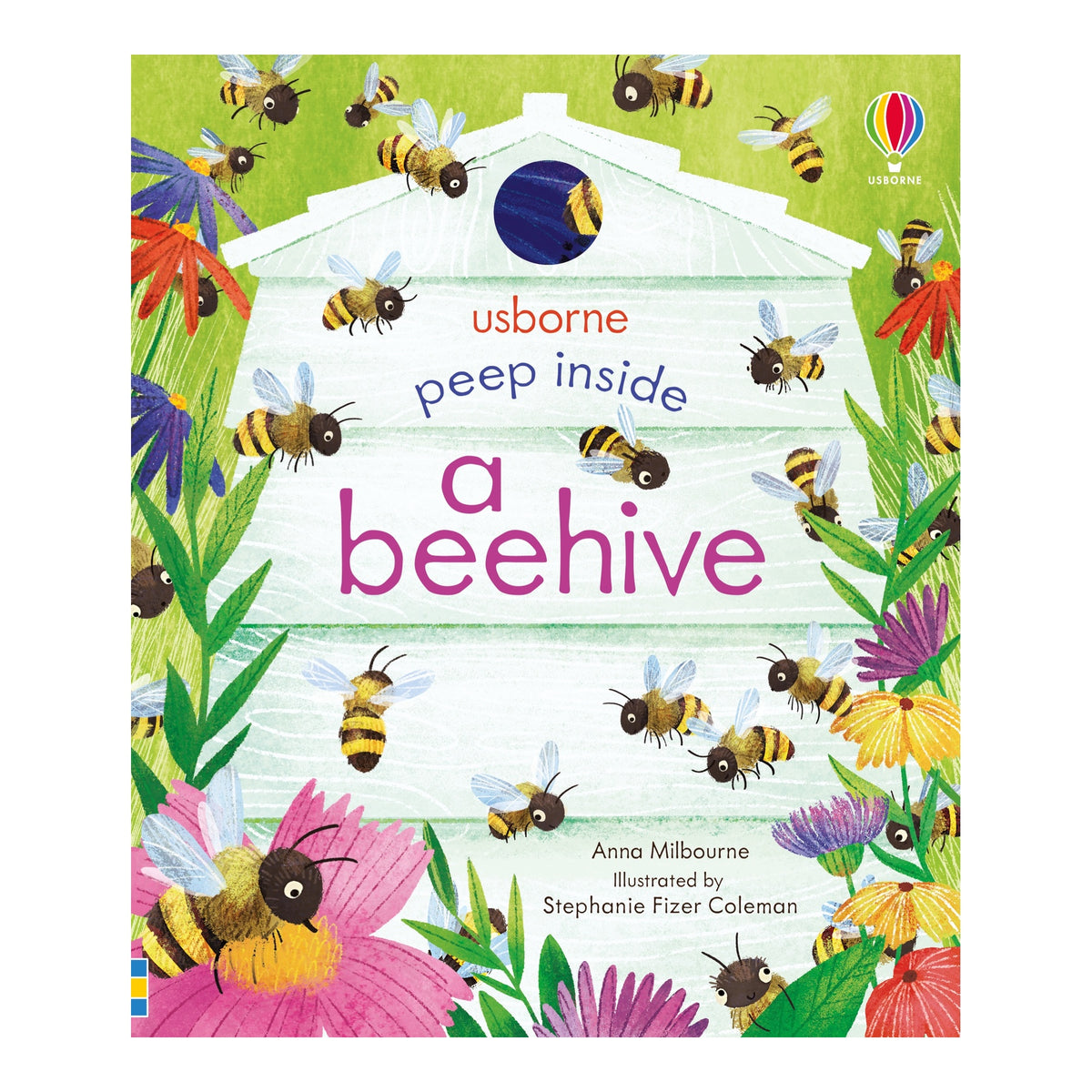 Peep Inside a Beehive