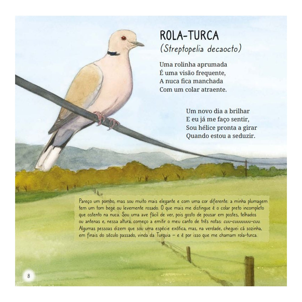 O Meu Primeiro Livro de Aves