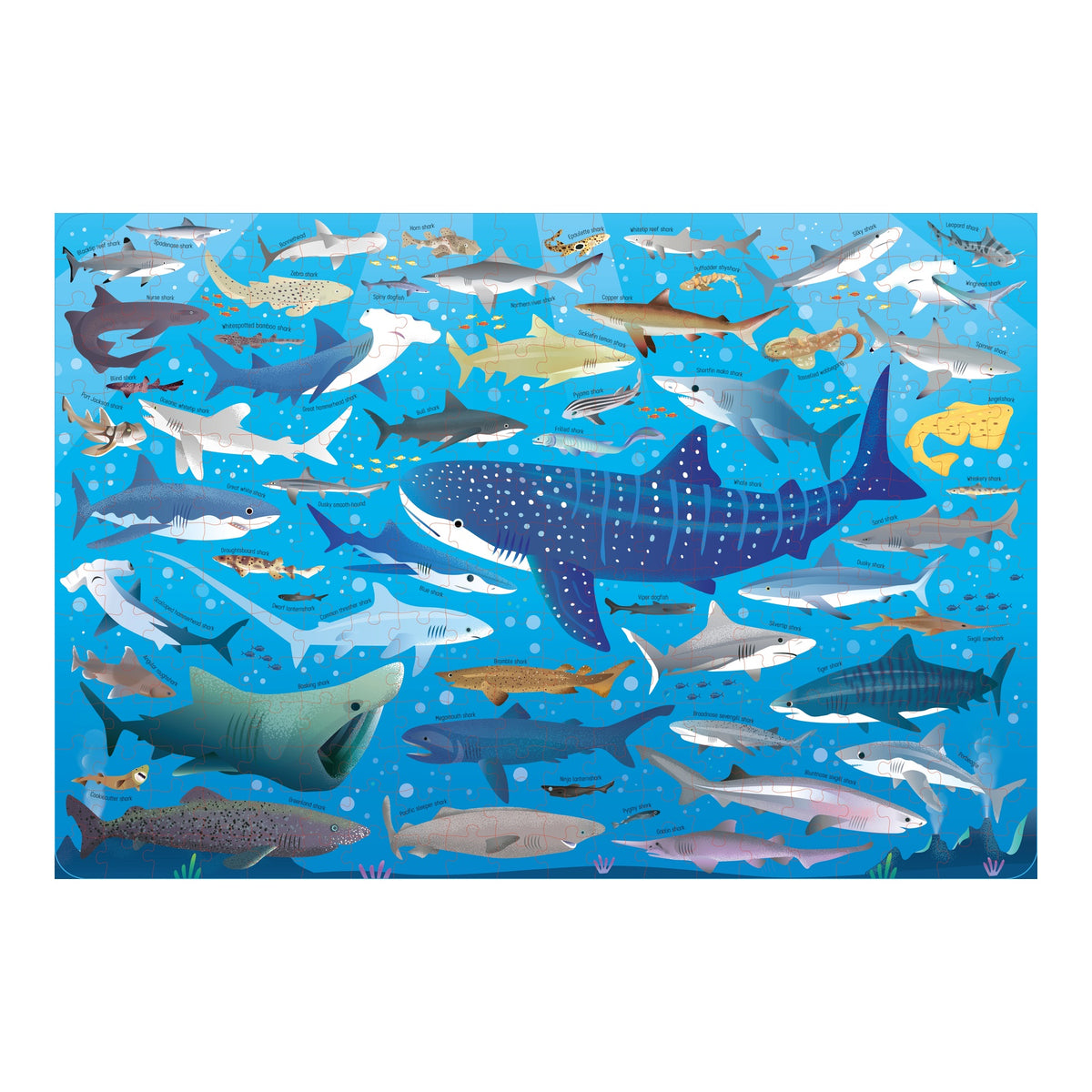 Puzzle and Book Sharks 300 pieces