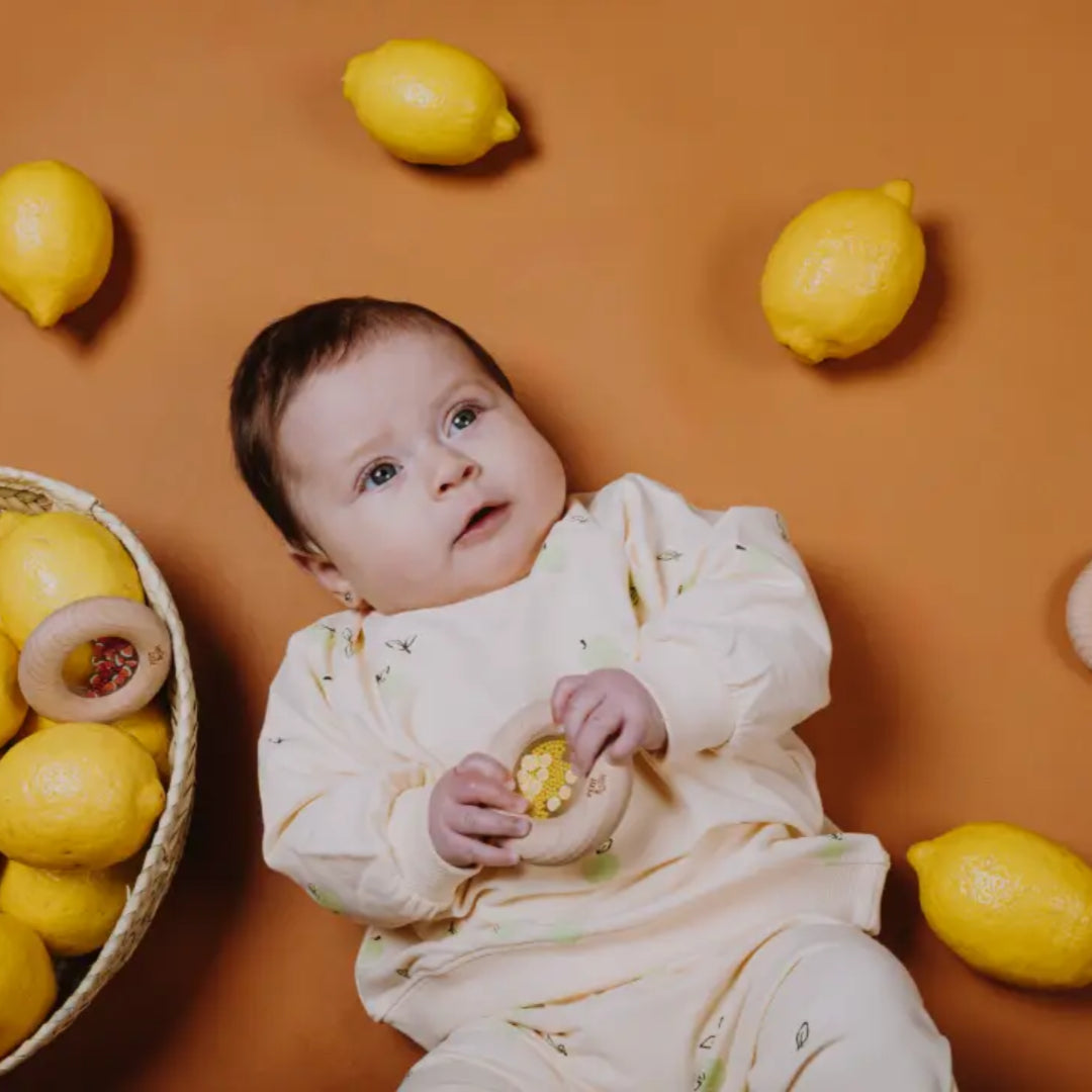 Sensory Donut Lemons