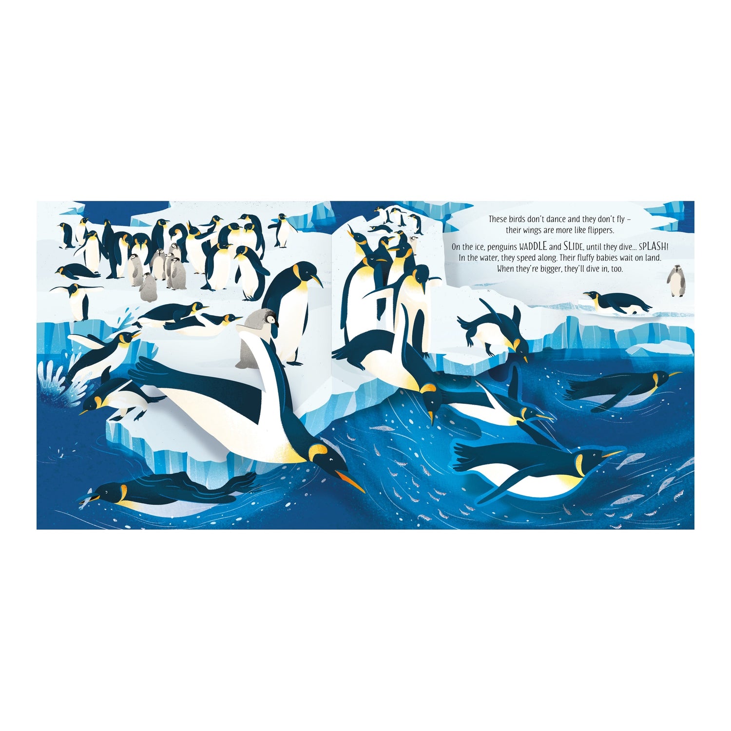 Pop-up Birds
