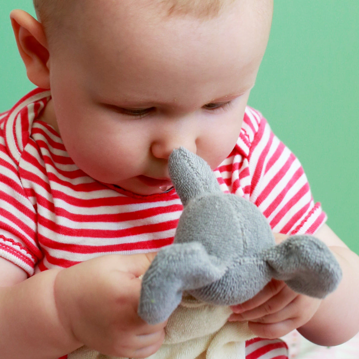 Peluche Elefante Natural