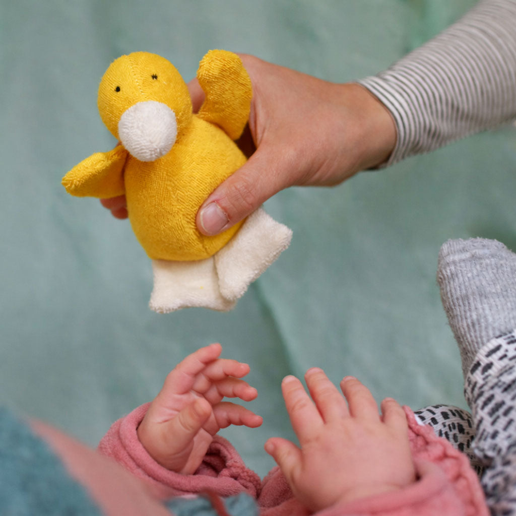 Roca Pato Amarelo