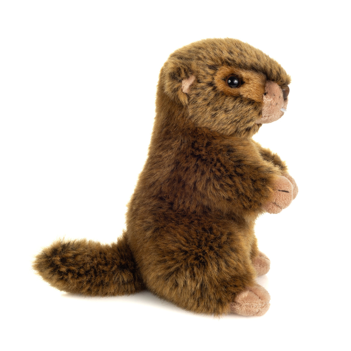Peluche Castor Pequeno