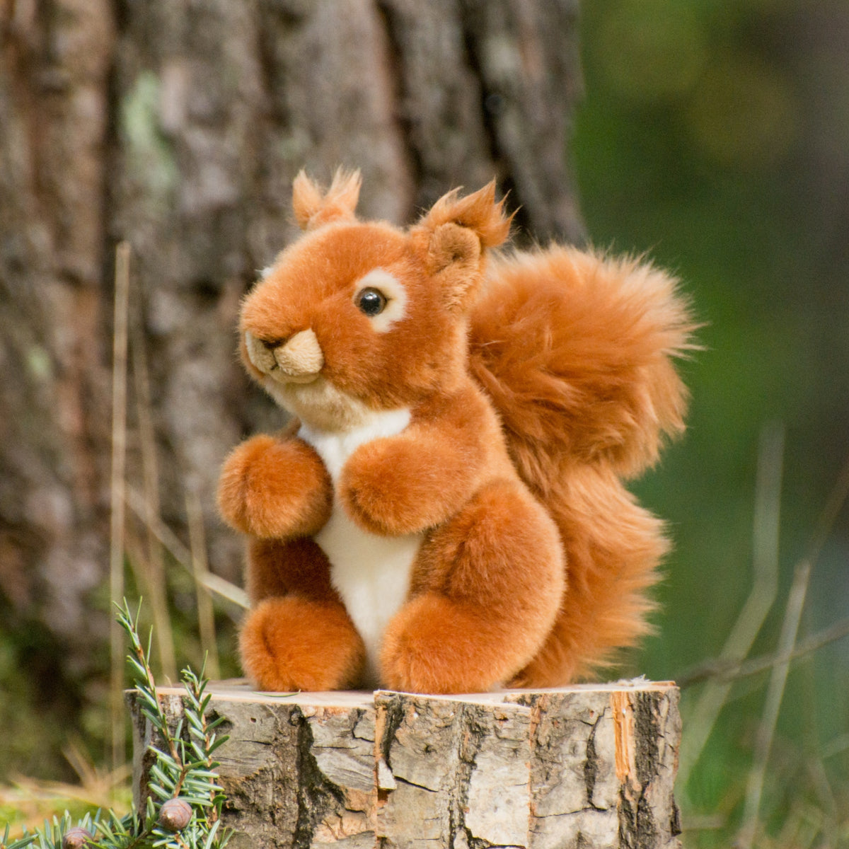 Peluche Esquilo
