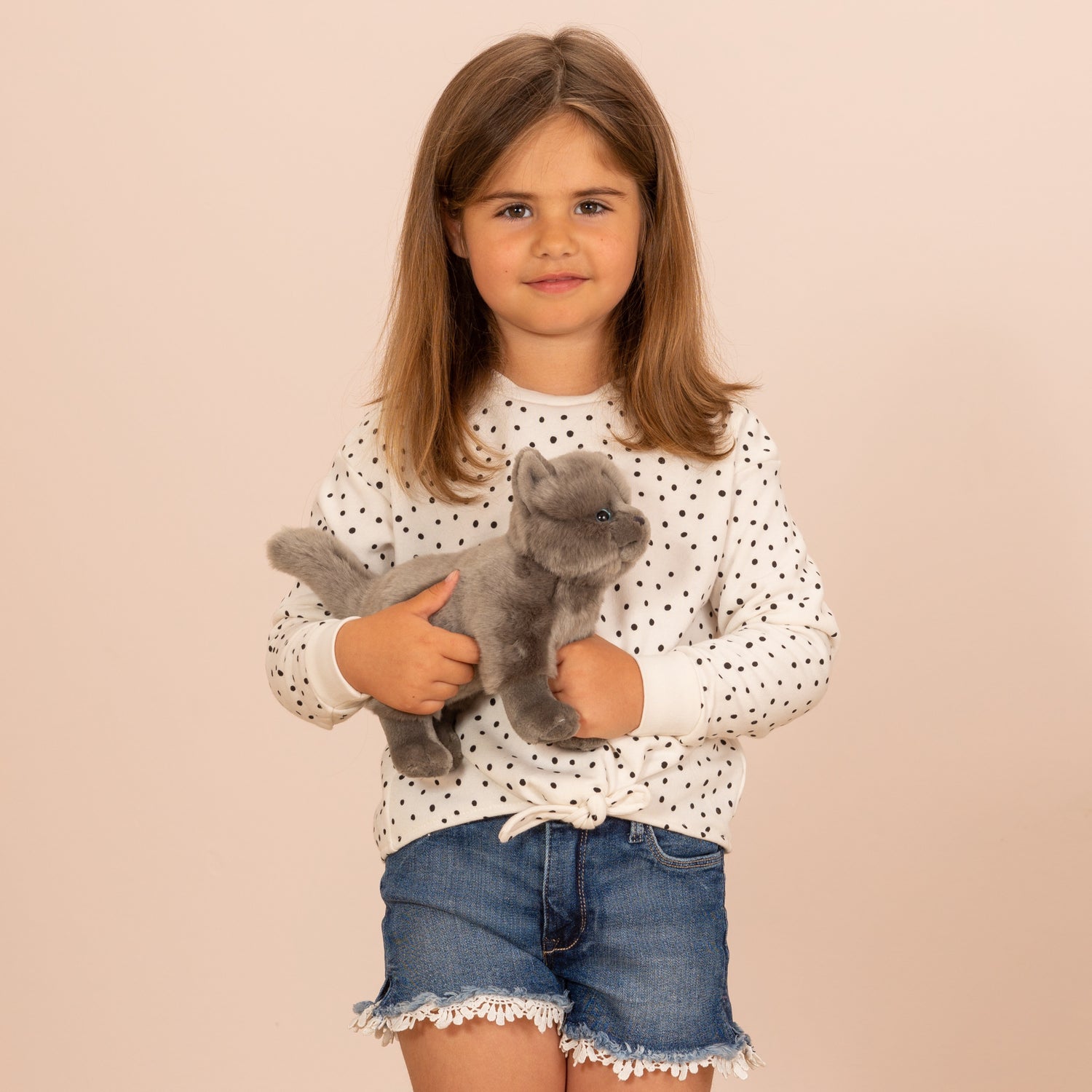 Peluche Gato Chartreux