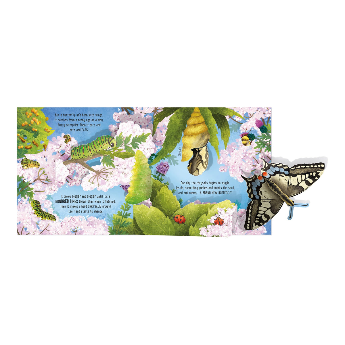 Pop-up Butterflies