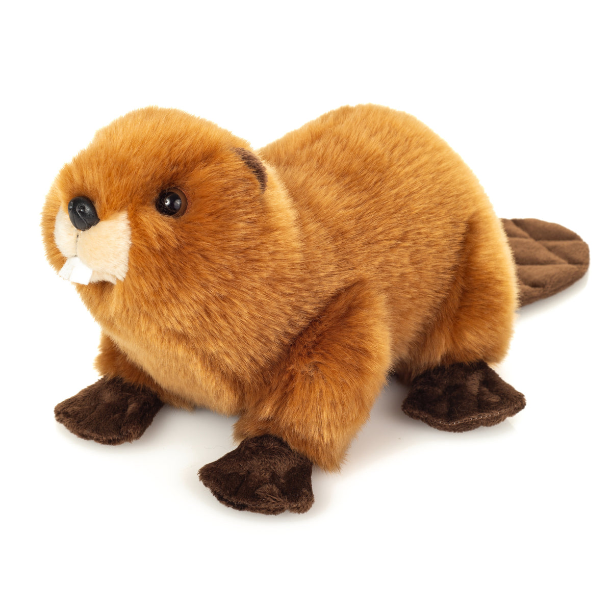 Peluche Castor