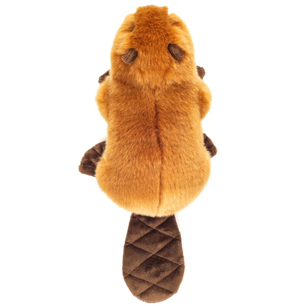 Peluche Castor
