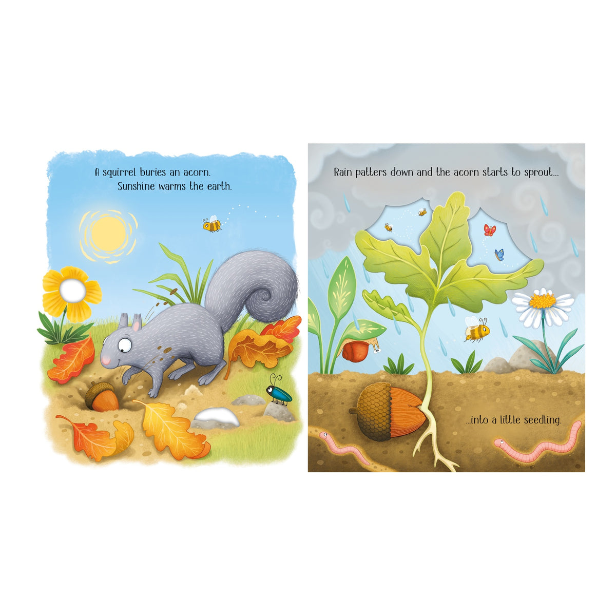 One Little Tree Life Cycle