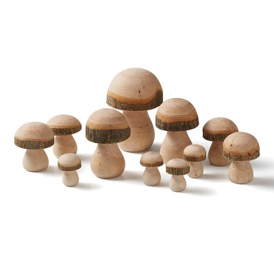 11 Cogumelos